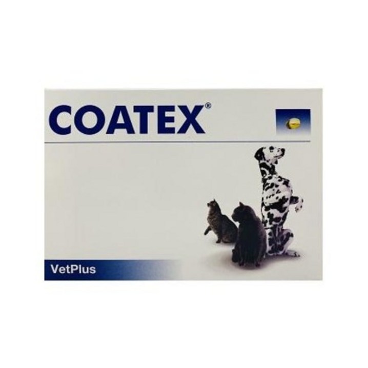 벳플러스 코텍스 블리스터 COATEX 강아지 고양이 피부모질 개선 필수지방산제제