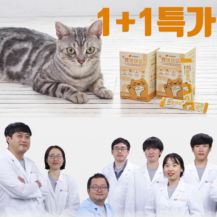 고양이신장영양제 고양이 유산균 영양제 설사 변비 구토 면역력 장건강 프로바이오틱스 프리바이오틱스 파우더 캣바이오 1+1
