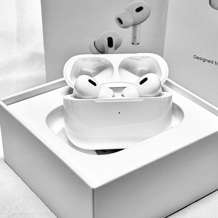 APPLE 에어팟 프로 2세대 C타입 노이즈 캔슬링 이어팁, sfgbbb