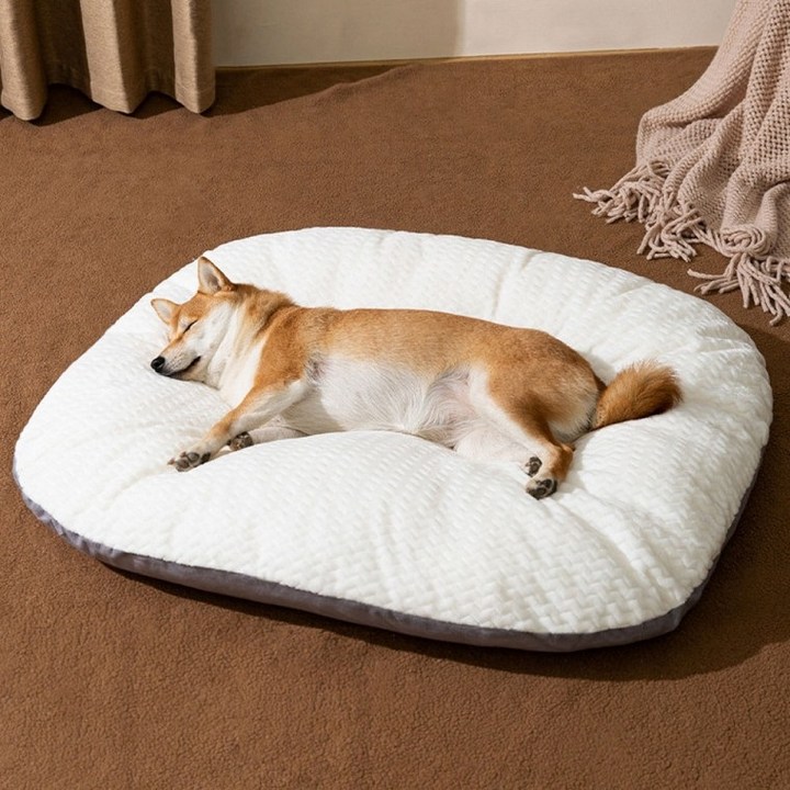 이지바이 강아지 집 방석 대형 중형 소형 분리형 쿠션 꿀잠 베개 무중력 침대, 단일 색상