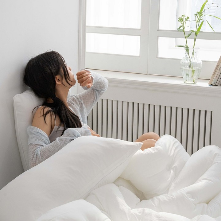 국내생산도르리 마이크로 M2워싱 알러지케어 항균 진드기방지 인증 차렵이불