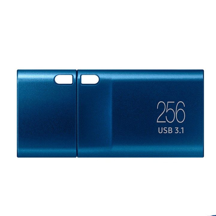 usb256gb 삼성전자 Flash Drive Type-C MUF-256DA / APC USB 메모리