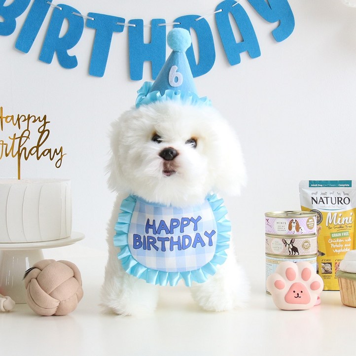 이벤트홀릭 강아지 고양이 생일파티용품 케이프 숫자고깔 세트