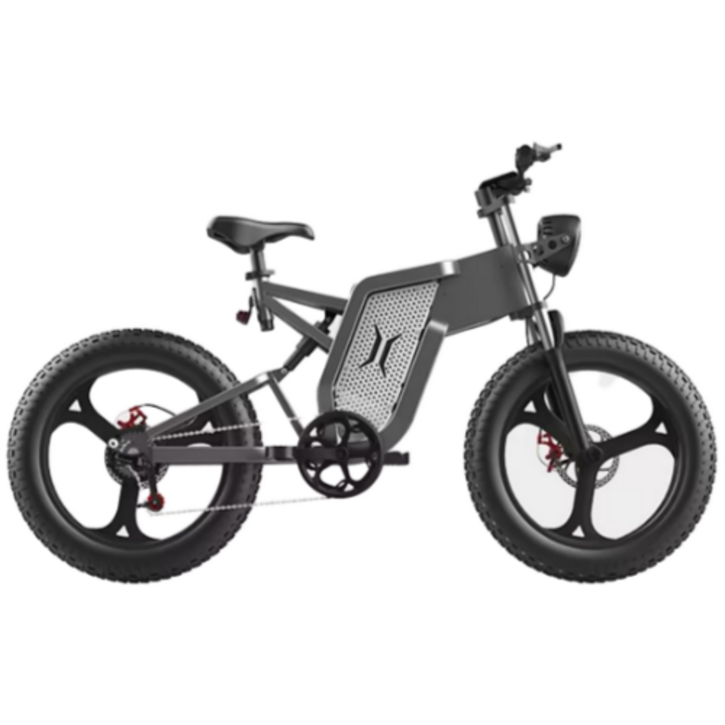 다니엘 전기자전거 자토바이 산악용 MTB 48V 25Ah