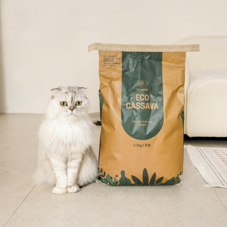 반짝 에코 카사바 모래 11kg, 무향, 2개, 5.5kg