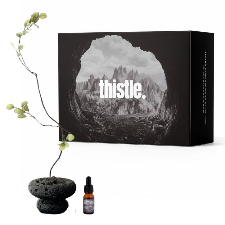 화분 스톤 디퓨저 실내 방향제 퍼퓸 아로마 집들이 선물 세트 인테리어 소품 홈데코 창업 개업