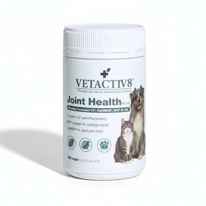 벳엑티브8 조인트헬스 플러스 강아지 관절영양제 180캡슐