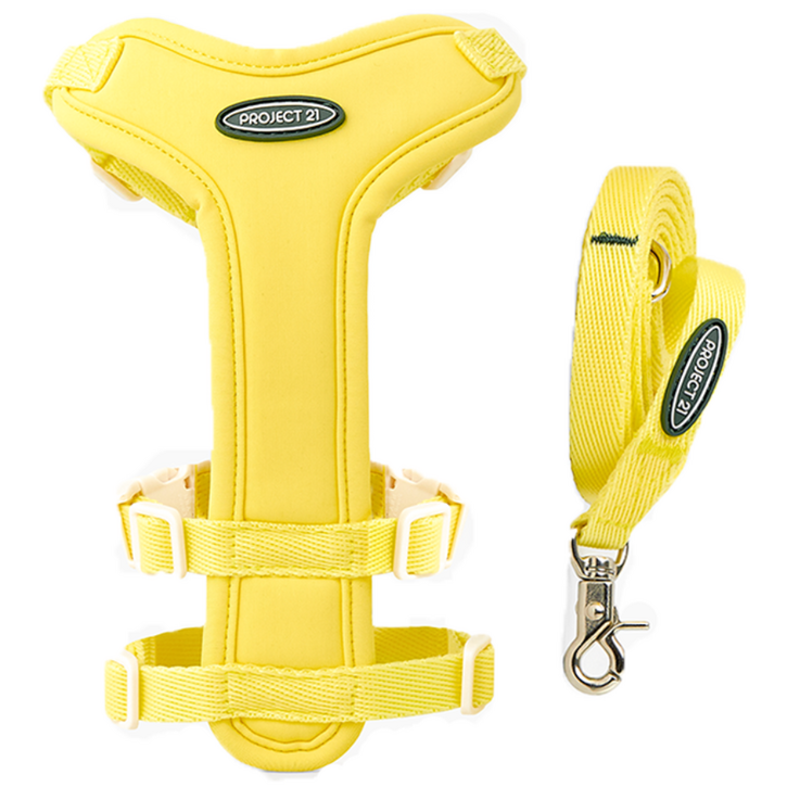 프로젝트21 강아지 하네스  리쉬 세트