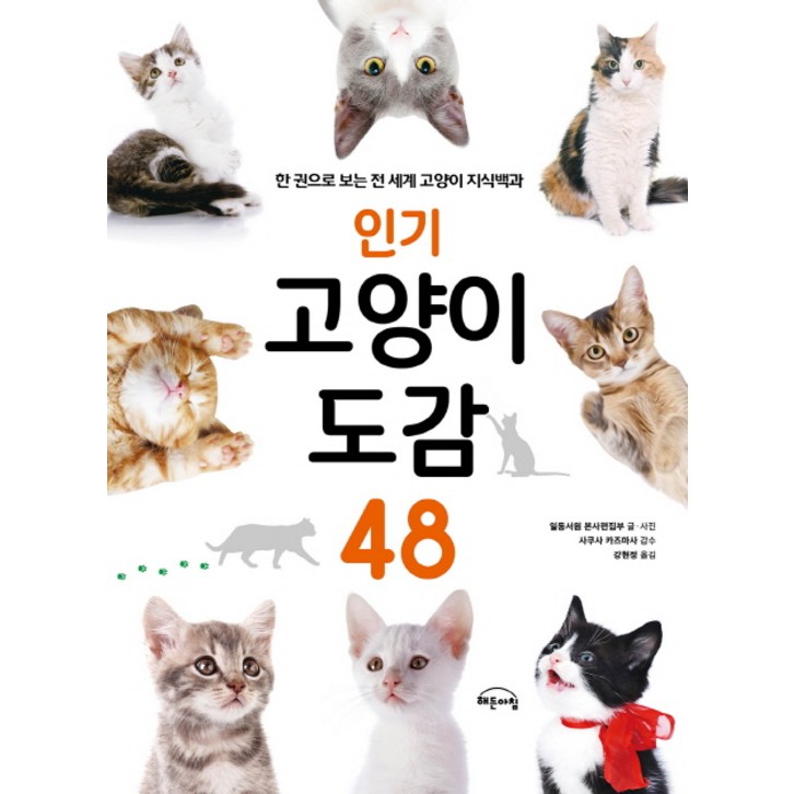 고양이책 인기 고양이 도감 48:한 권으로 보는 전 세계 고양이 지식백과