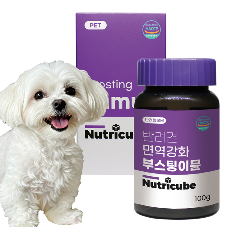 뉴트리큐브 반려동물 강아지영양제 관절 피부피모 눈물개선 눈건강 면역력강화 유산균 장건강 노령견 항산화 애견