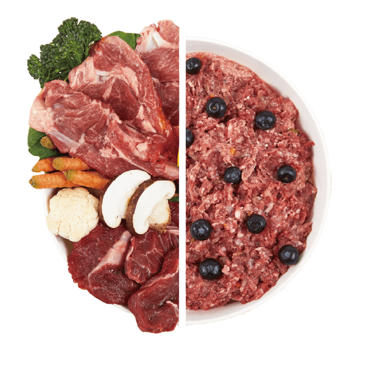바프독 LAMBBEEF 1kg 반려견 강아지 생식 자연식 양 소, 1kg, 1개