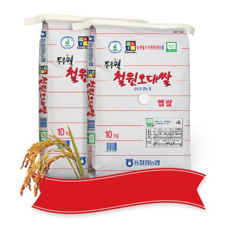 당일도정 동철원농협 직접운영 2023년산 두루웰 철원오대쌀, 2개 당일도정 동철원농협 직접운영 2023년산 두루웰 철원오대쌀, 2개