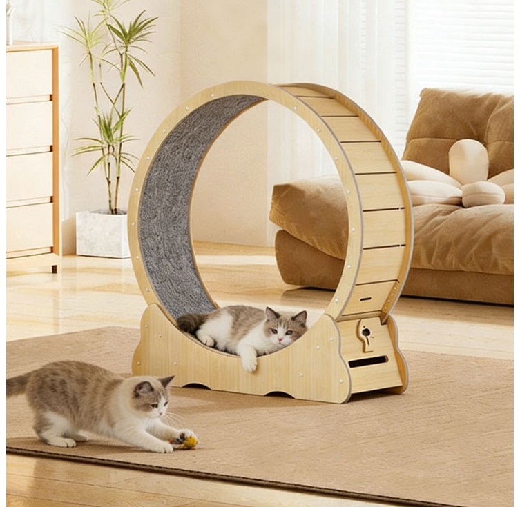 New World 캣휠 고양이 운동훈련 런닝머신 실내 롤러 스크래쳐 건강 관리 펫 장난감